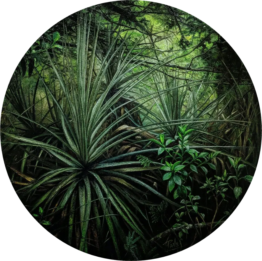 Oxígeno 1, serie Oasis