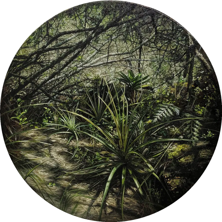 Oxígeno 2, serie Oasis